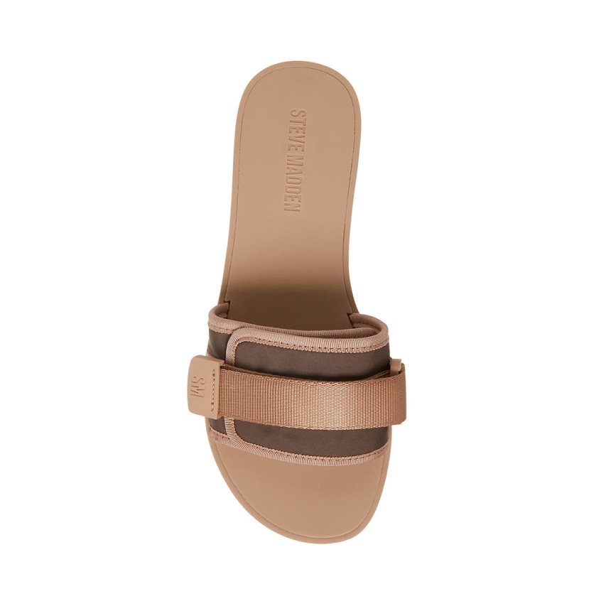 Light Brown Steve Madden Janelle Women's Slides | PH 1234LBU